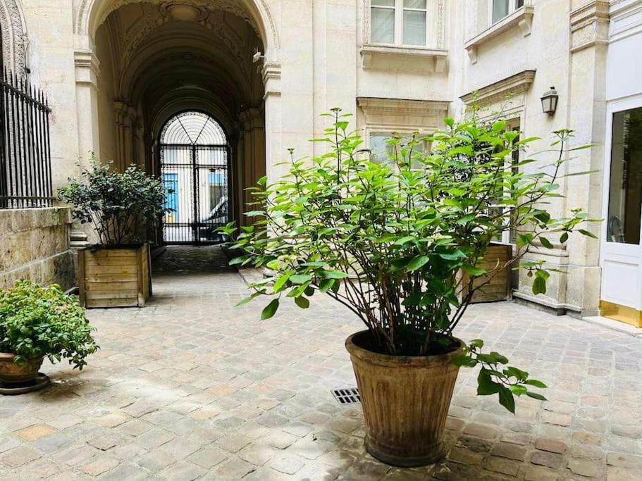 65m2 - Richelieu Palais Royal Opera - Design And Central *